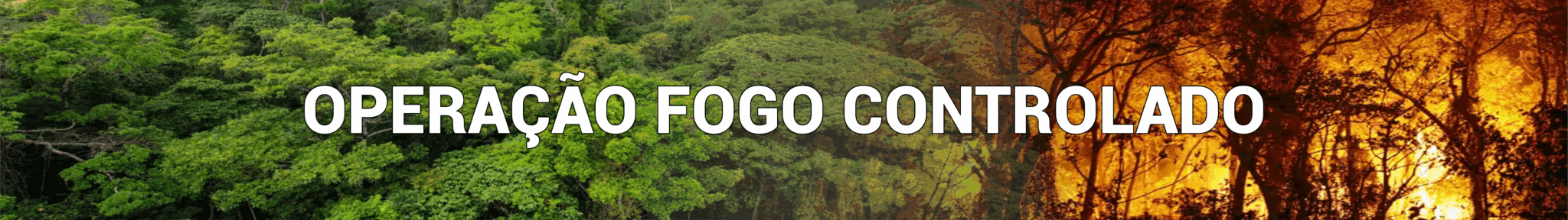 Banner Institucional